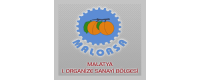 malorsa